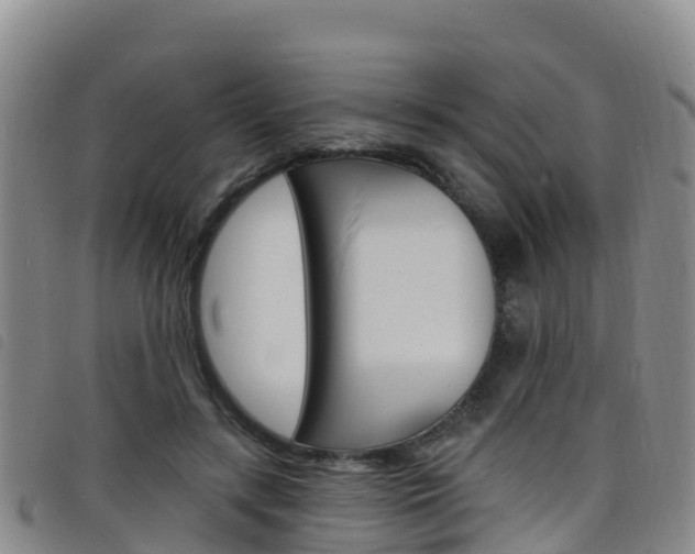 X0000098210547200804241104