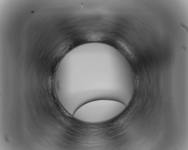 X0000098210549200804241104