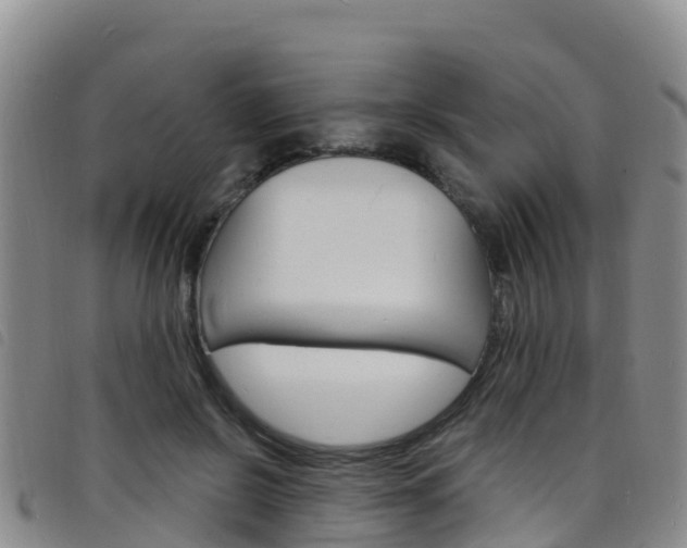 X0000098210550200804241104