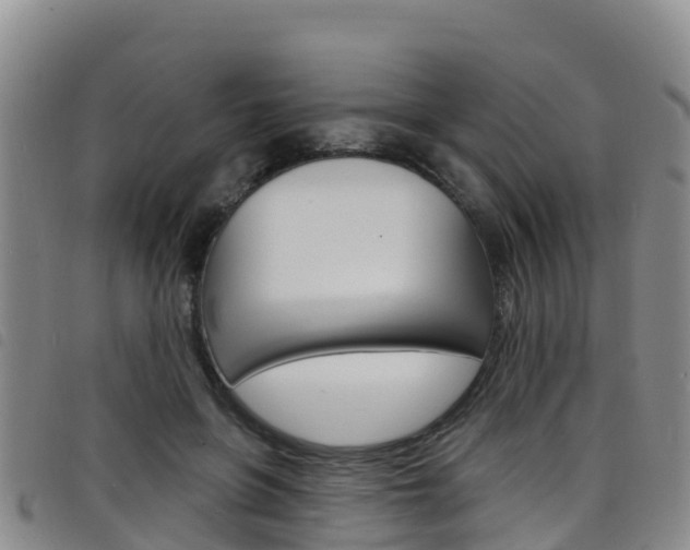 X0000098210551200804241104