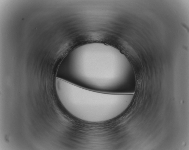 X0000098210552200804241104