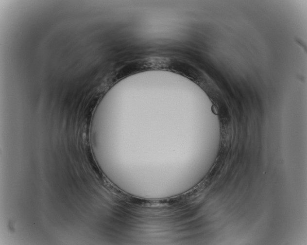 X0000098210553200804241104