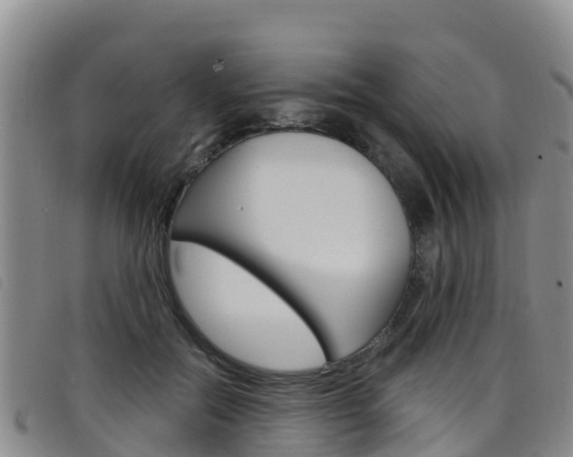 X0000098210554200804241104