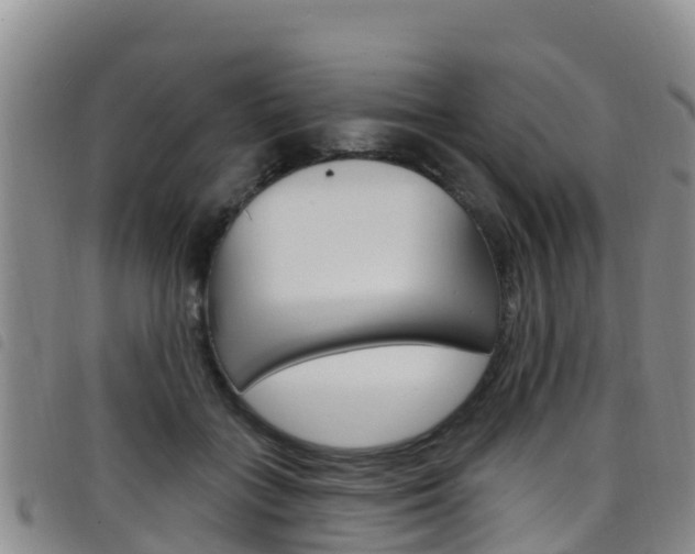 X0000098210555200804241104
