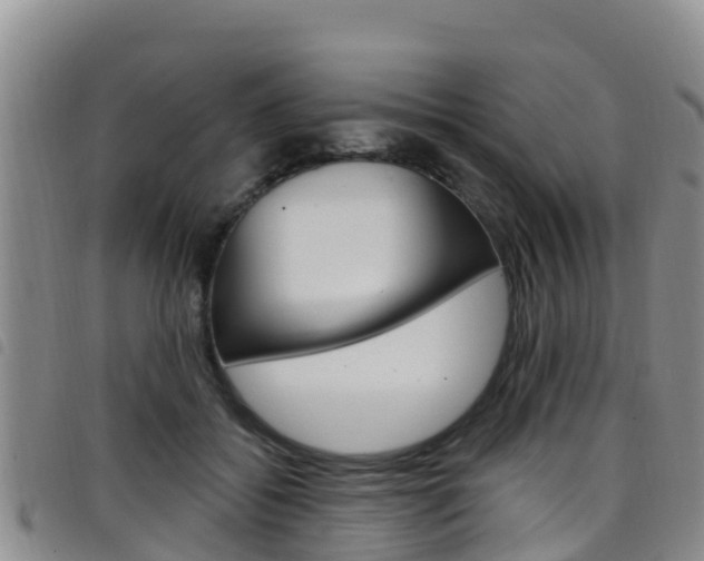 X0000098210556200804241104