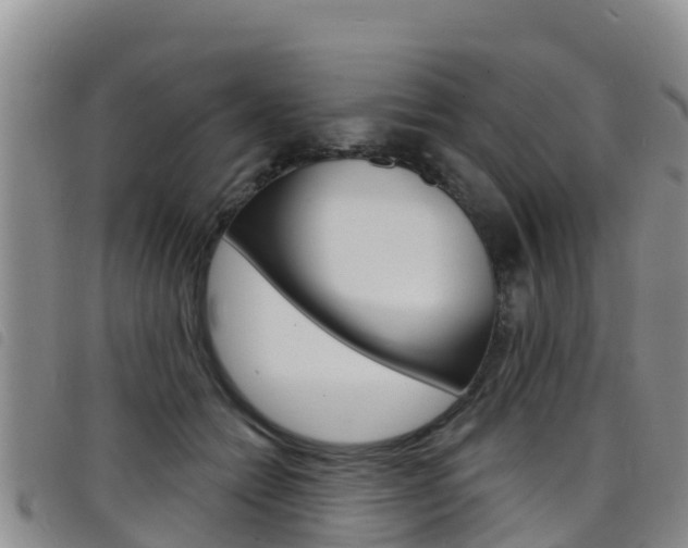 X0000098210558200804241104