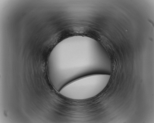 X0000098210559200804241104