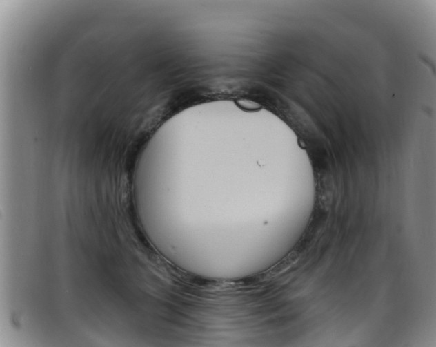 X0000098210563200804241104