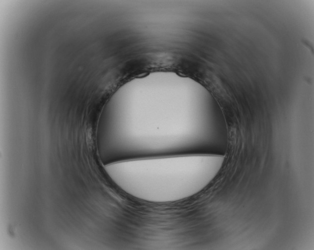 X0000098210564200804241104