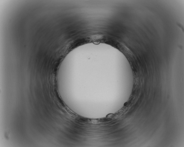 X0000098210565200804241104