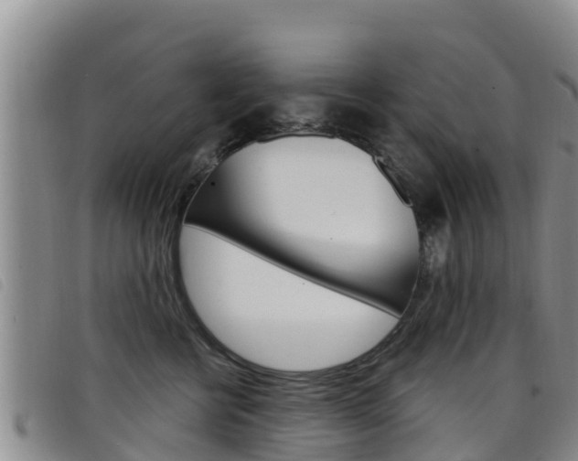X0000098210570200804241104
