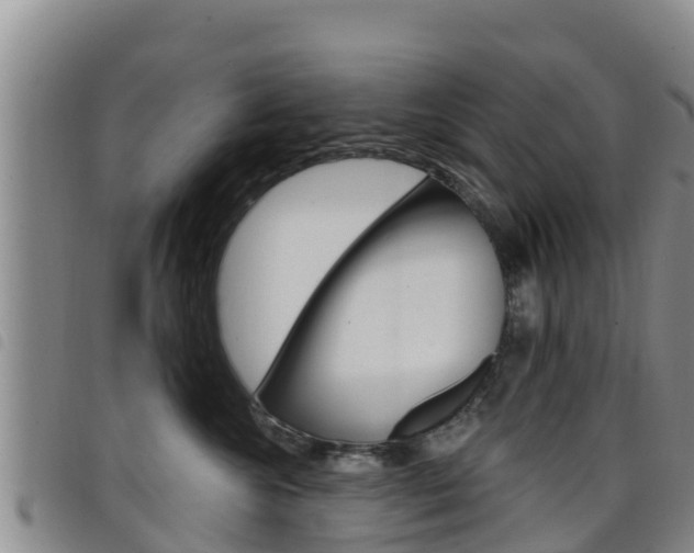 X0000098210572200804241104
