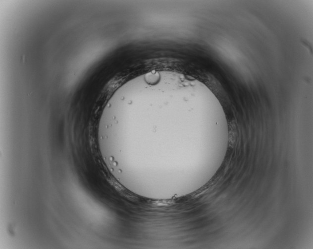 X0000098210573200804241104