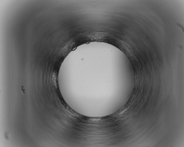 X0000098210575200804241104