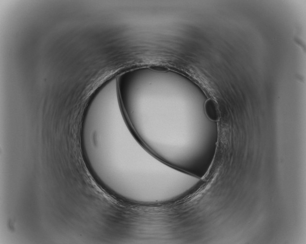 X0000098210577200804241104
