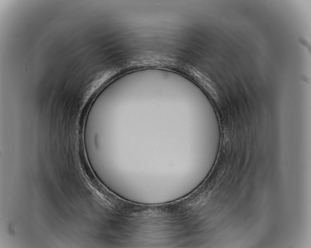X0000098210578200804241104