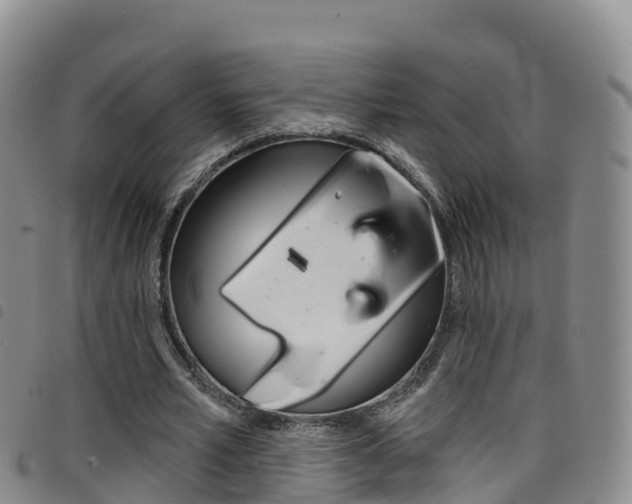 X0000098210581200804241104