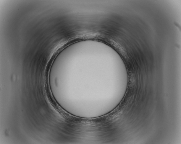 X0000098210582200804241104