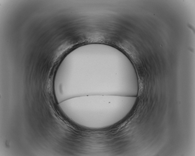 X0000098210583200804241104