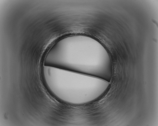 X0000098210584200804241104
