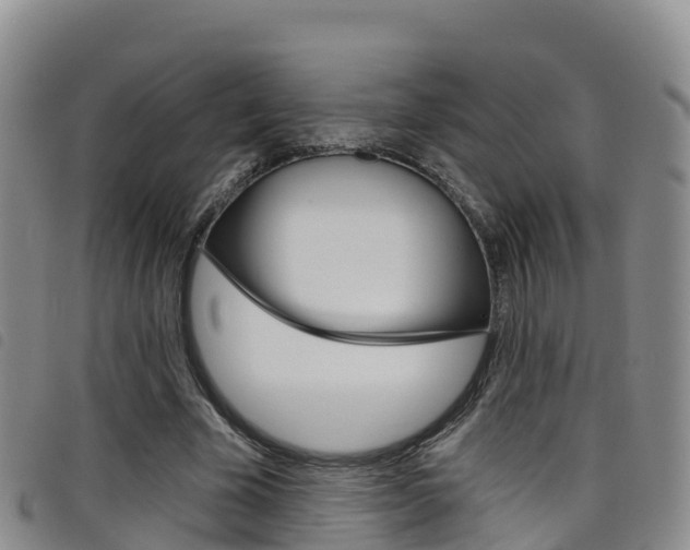 X0000098210585200804241104