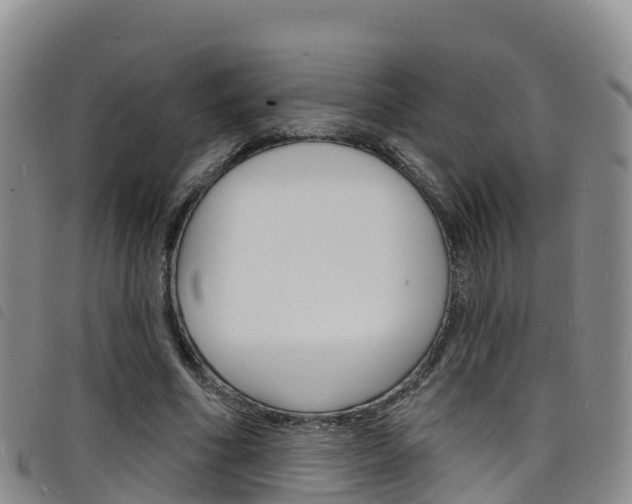 X0000098210586200804241104