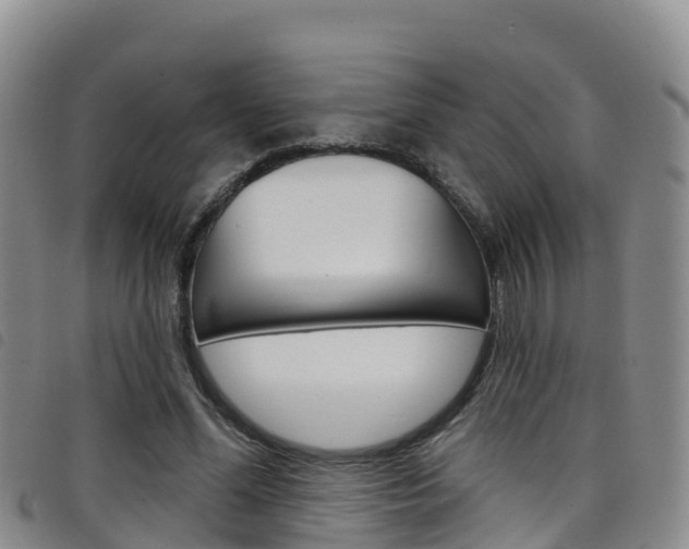 X0000098210588200804241104