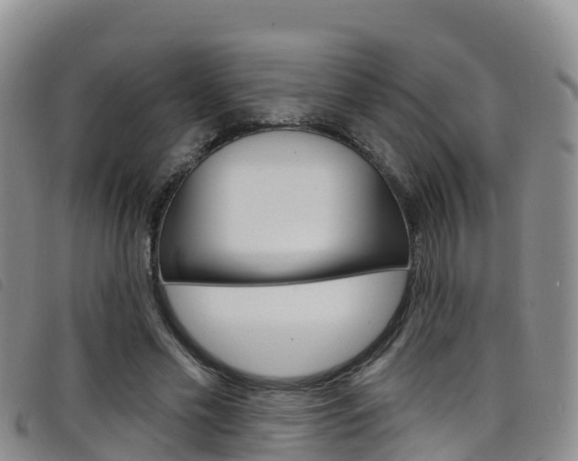 X0000098210589200804241104