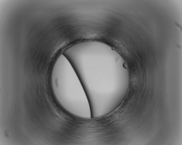 X0000098210591200804241104