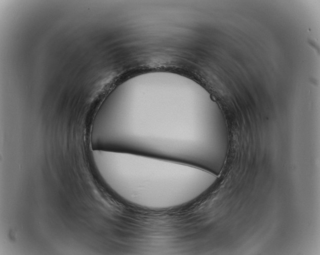 X0000098210592200804241104