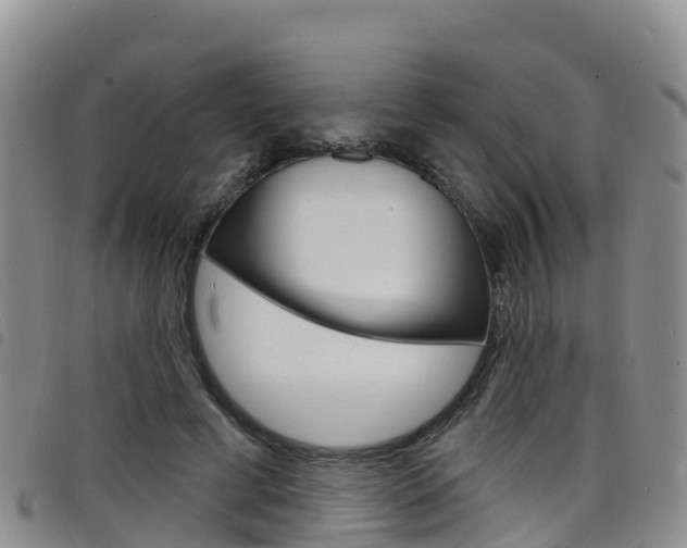 X0000098210593200804241104