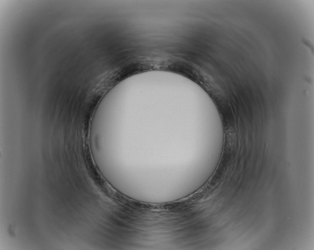 X0000098210594200804241104