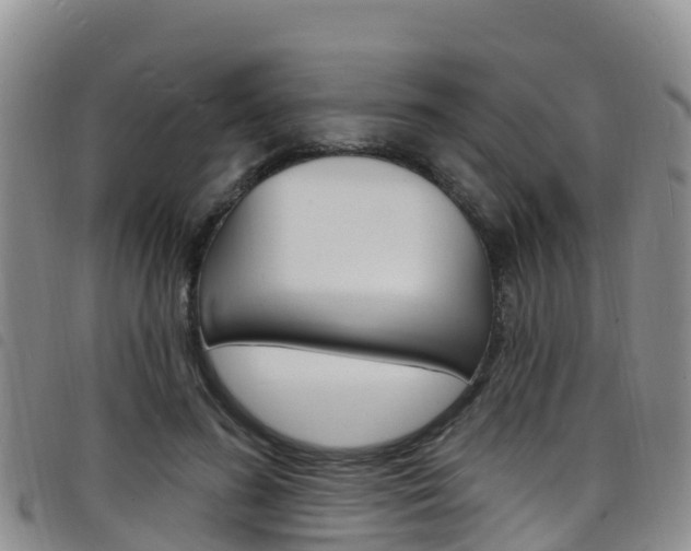 X0000098210596200804241103