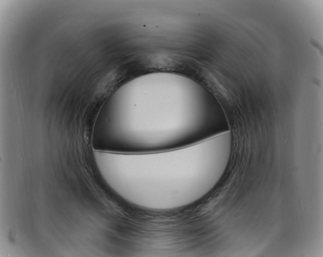 X0000098210597200804241103