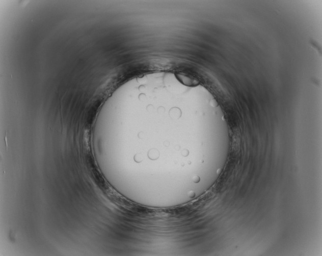 X0000098210598200804241103