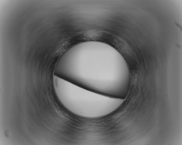 X0000098210599200804241103