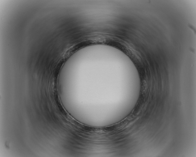 X0000098210600200804241103