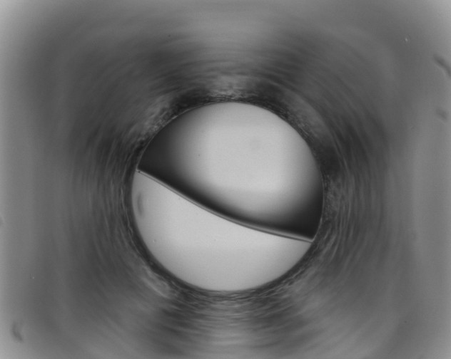 X0000098210601200804241103