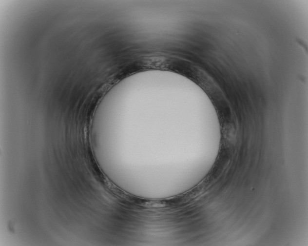 X0000098210602200804241103