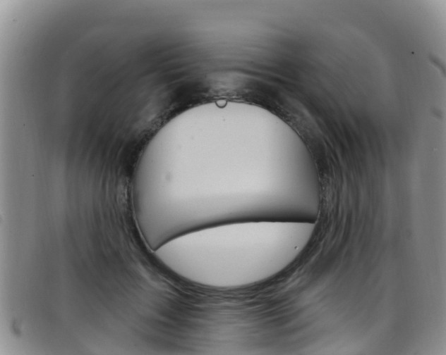 X0000098210603200804241103