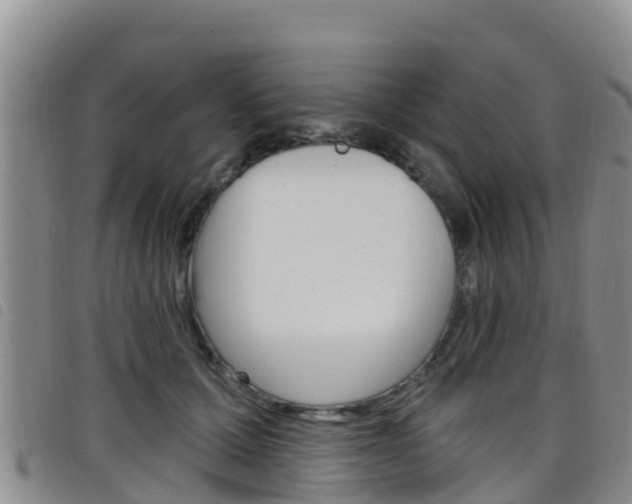 X0000098210607200804241103