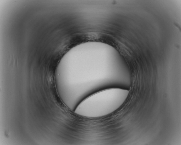 X0000098210608200804241103
