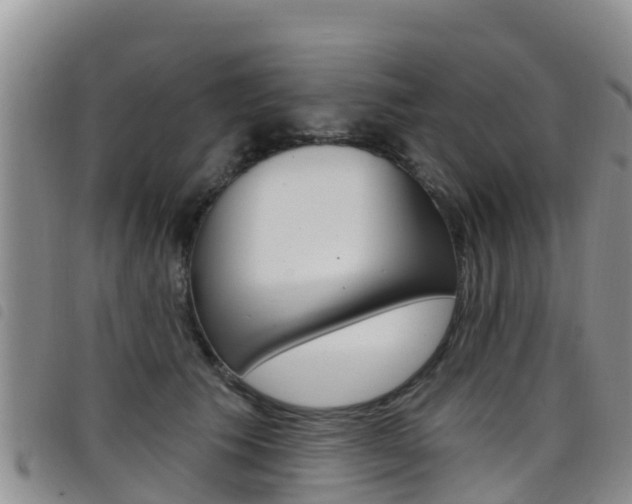 X0000098210609200804241103