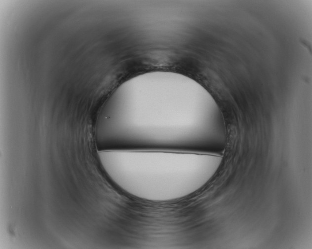 X0000098210612200804241103