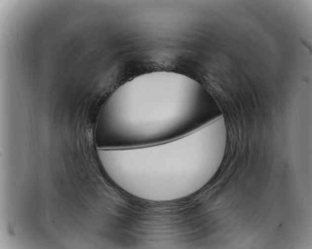 X0000098210613200804241103