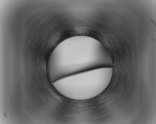 X0000098210615200804241103