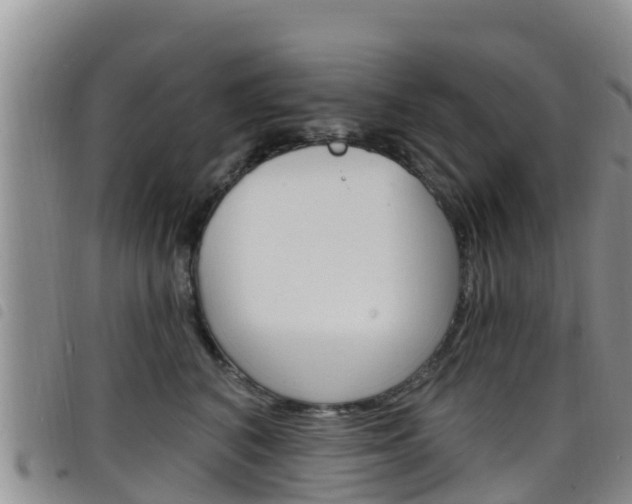 X0000098210616200804241103