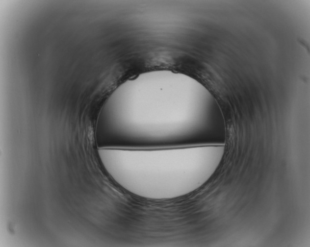 X0000098210617200804241103