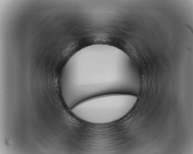 X0000098210619200804241103