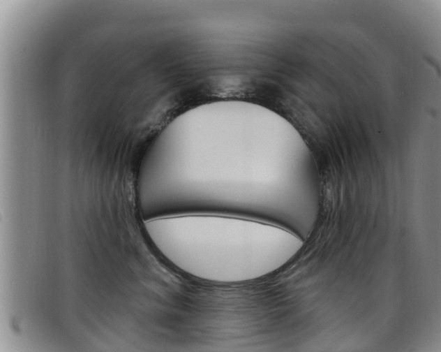 X0000098210620200804241103
